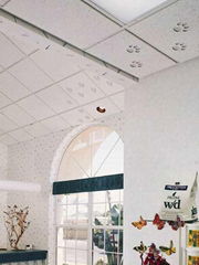 gypsum board 