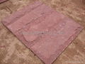 Red sandstone 4