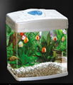 fish tank 2