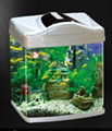 fish tank 1