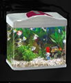 fish tank 3