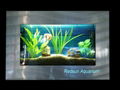 wall aquarium 5