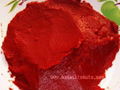 Tomato Paste