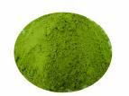 Green Tea Extract Monograph