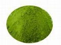 Green Tea Extract Monograph