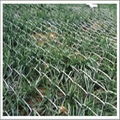 Galvanized Chain Link Fence 1