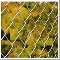 Galvanized Chain Link Fence 2