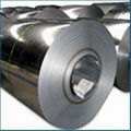 Galvanized steel coil strip sheet 1