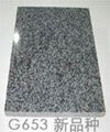 Chinese sapphire(G653) granite