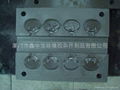 silicone mould