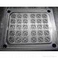 silicone mould 5