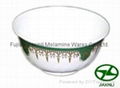 Plastic Bowl 1