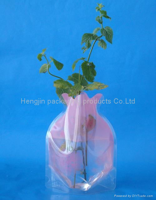 plastic irregular bag  2