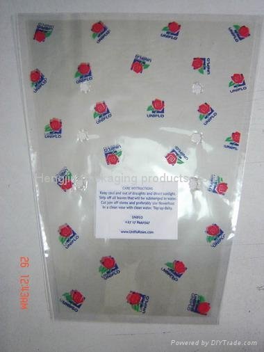 plastic irregular bag  5