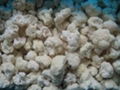 frozen cauliflower 1