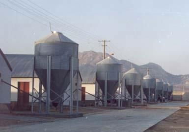 Steel silo 2