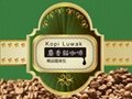 麝香貓咖啡半磅含磨豆
