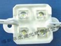 LED 食人魚四燈防水模組 1