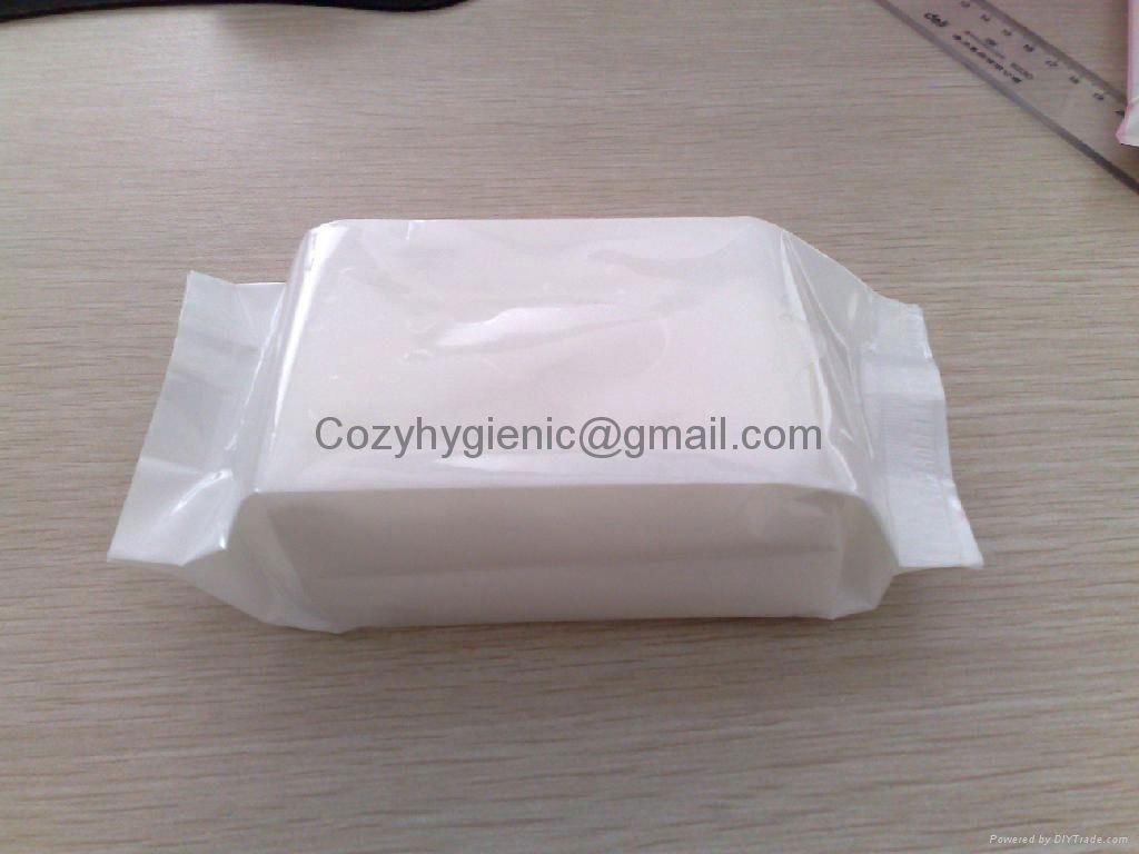 make-up remover wipes  2