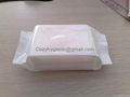 make-up remover wipes  2