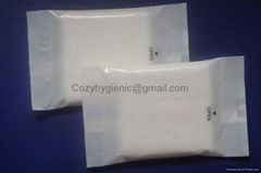 antibacterial wipes 