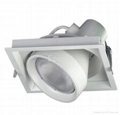 Recessed HID Light