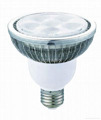 PAR30 6X2W LED LIGHT