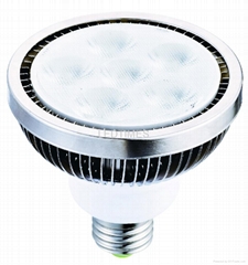 PAR38 15X1W LED LIGHT