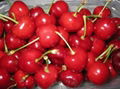 fresh cherries