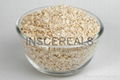 OATS FLAKE 1