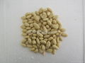 blanched peanut kernel 1