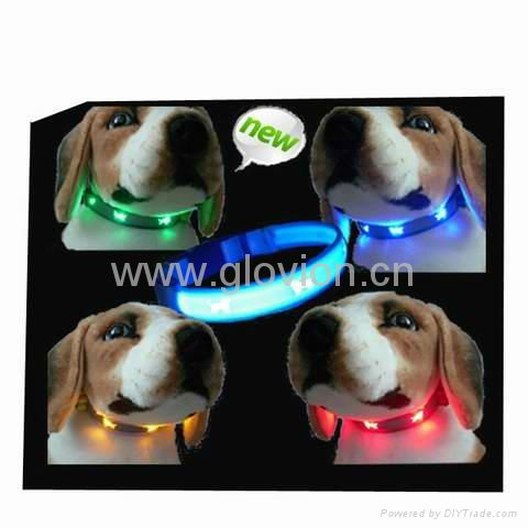 2011 hot pet collar for safety and decoration