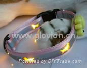 2011 hot pet collar for safety and decoration 3