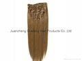 clip-in hair extension 1