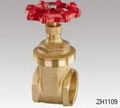 Brass gate valve