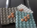 Roller pulp moulding egg tray machine