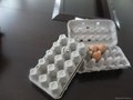 Reciprocating egg tray machine 2