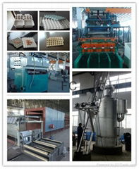 paper pulp moulding machine