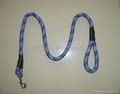 dog lead