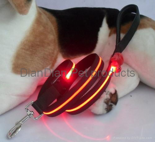 LED Dog Leash and Collar 2