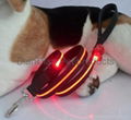 LED Dog Leash and Collar 2