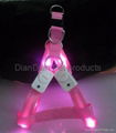 LED Dog Leash and Collar 4