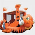 inflatable bouncer 1