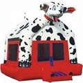 inflatable bouncer 4