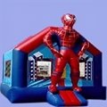 inflatable bouncer 5