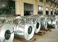 201 Stainless steel coil High copper