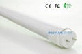 led fluorescent tube lamps