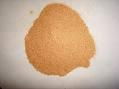 shrimp shell powder 1