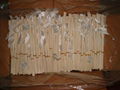 reed sticks 001 4