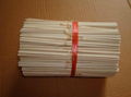 reed sticks 001 5